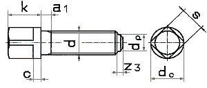 din-480-screw.gif