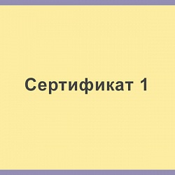 Сертификат 1